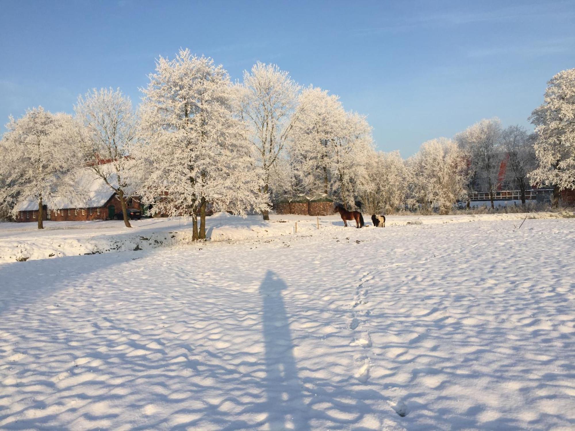 Ferienwohnung Suderfeld Brake  Kültér fotó