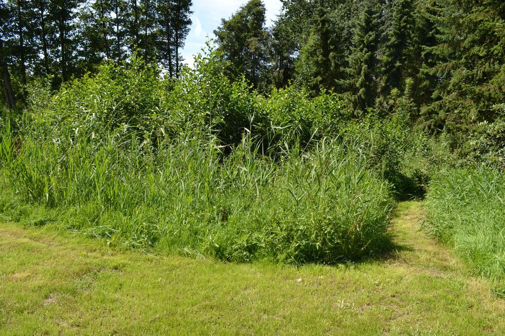 Ferienwohnung Suderfeld Brake  Kültér fotó